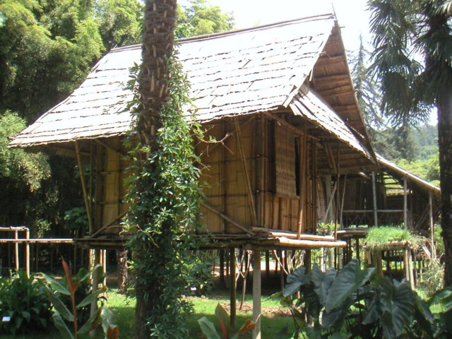 pict0001.jpg