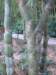 pict0004_small.jpg