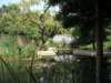 pict0011_small.jpg