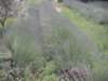 pict0014_small.jpg