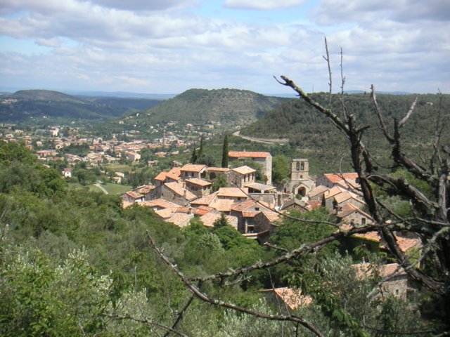 pict0072.jpg