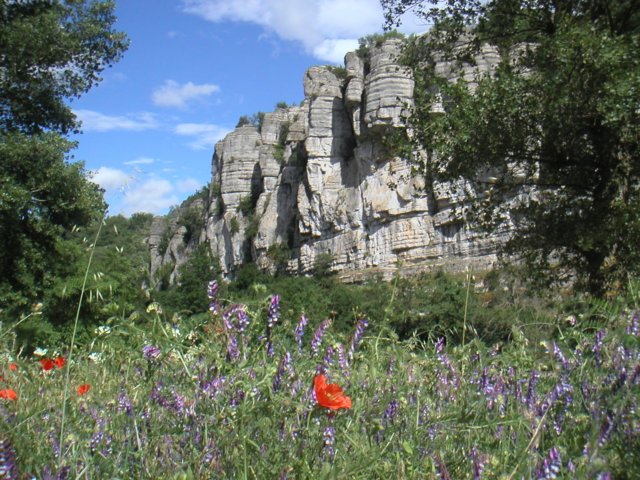 pict0073.jpg