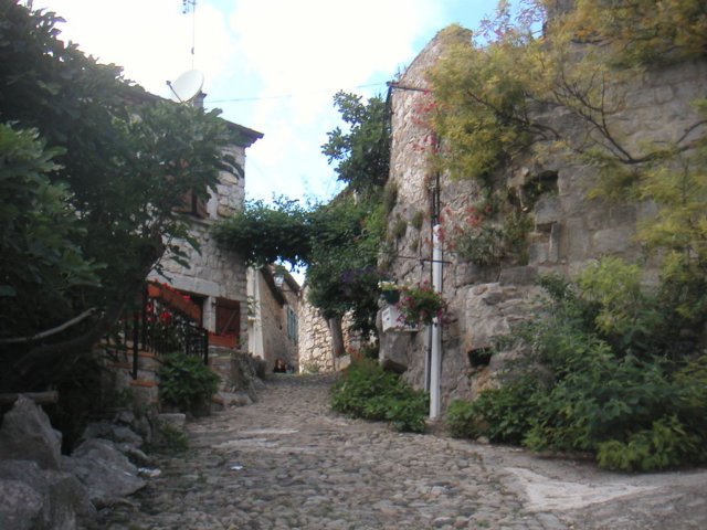 pict0081.jpg