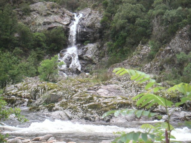 pict0090.jpg