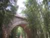 pict0140_small.jpg