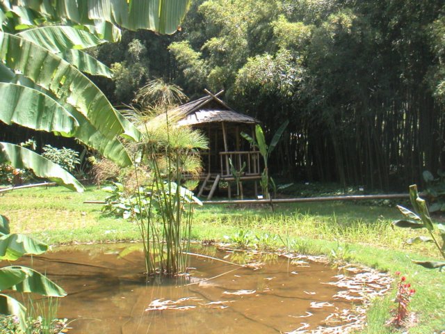 pict0144.jpg