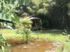 pict0144_small.jpg