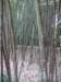 pict0147_small.jpg