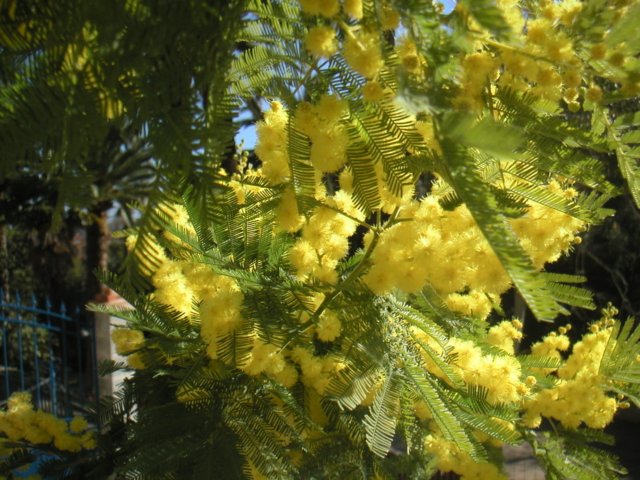 pict0080.jpg