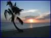 pict0012_small.jpg