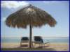 pict0019_small.jpg
