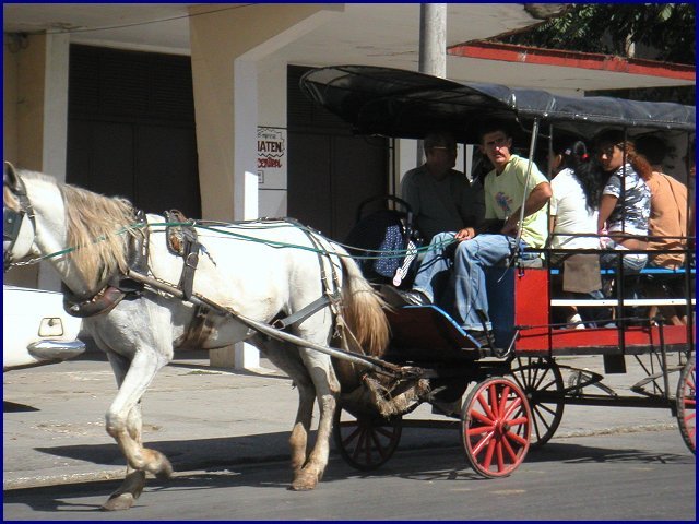 pict0047.jpg