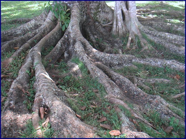 pict0090.jpg