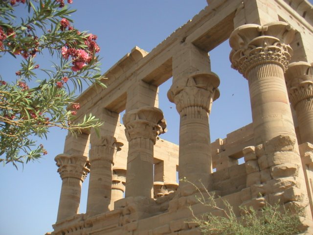 pict0005.jpg