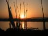 pict0051_small.jpg