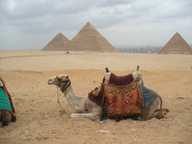 pict0065b.jpg