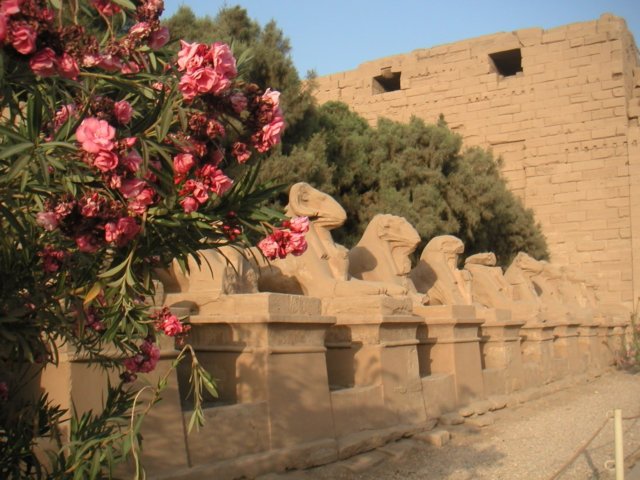pict0090.jpg