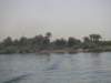 pict0150_small.jpg