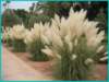 pict0010_small.jpg