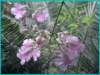 pict0025_small.jpg