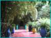 pict0067_small.jpg