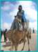pict0097_small.jpg
