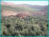 pict0098_small.jpg