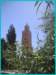 pict0133_small.jpg