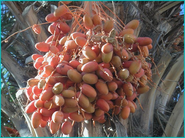 pict0148.jpg